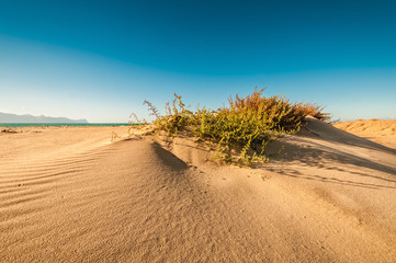 Sand dunes on the coast of Sicily