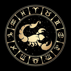 zodiac signs, vector illustration. - 72168524