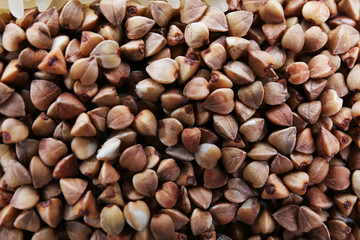 Buckwheat as background