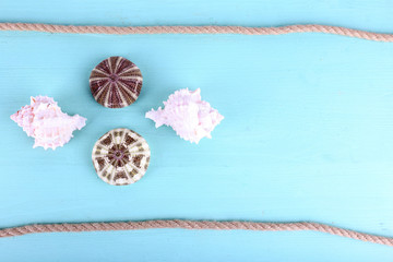Sea souvenirs on light blue background