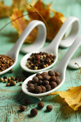 Different spices in spoons with yellow leaves