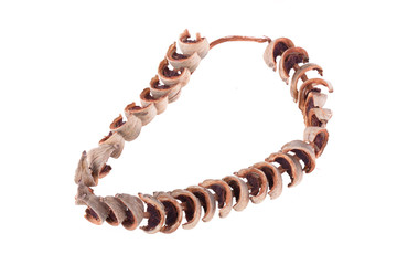 dry areca nuts for chewing snack