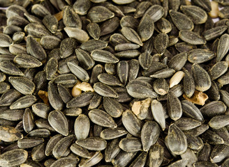 sunflower seeds