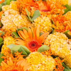 Abstract background of flowers. Close-up.