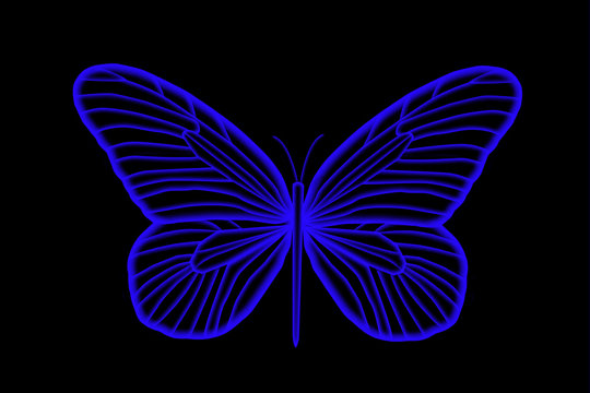 Florescent Colorful Blue Butterfly