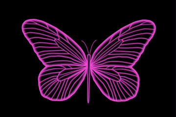 Florescent Colorful Pink Butterfly