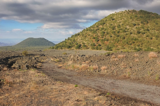 Old Volcanic Cones In The South-west Etna National Park, Sicily