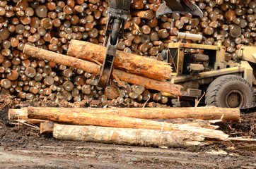 Log Yard