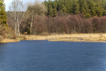 frozen lake