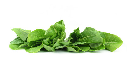 fresh lettuce leaves isolated on white