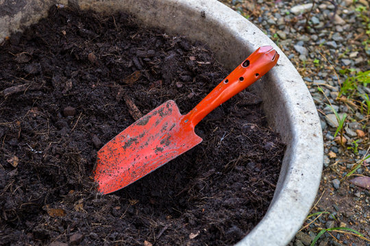 Garden Trowel And Soil In Tray