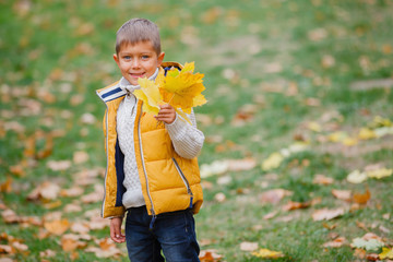 Cute boy with autumn leaves