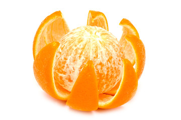 cut juicy orange