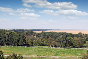 Fototapeta na wymiar farmland landscape with wooden fence trees and blue sky
