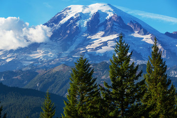 Obraz premium Mt.Rainier