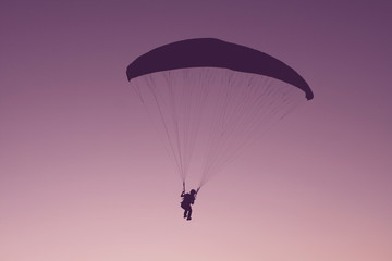 Paraglider