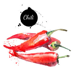 Chilli. Hand drawn watercolor painting on white background.