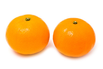 two orange mandarines