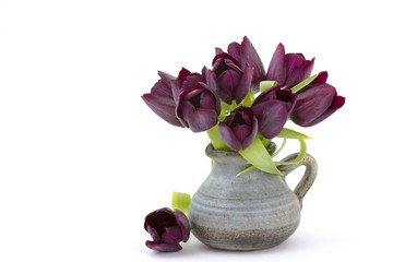 purple tulips in a vase