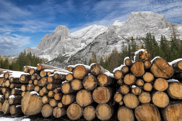 Legname delle Dolomiti