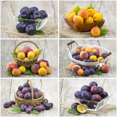 fresh fruits - collage