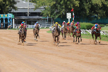 Obraz premium A racehorse and jockey in a horse race