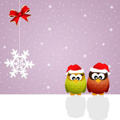 Owls at Christmas