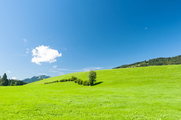 Oberallgäu