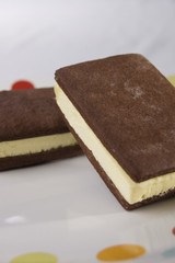 Icecream Sandwich