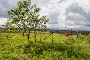 Obraz premium Overcast Clouds Above Mountain Valley