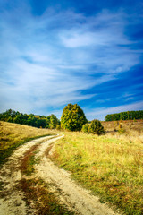 Fototapeta na wymiar Autumnal view of wonderful field, trees and blue sky.