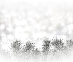 Silver christmas background with spruce branches.