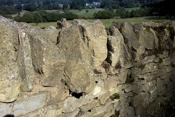 cotswolds