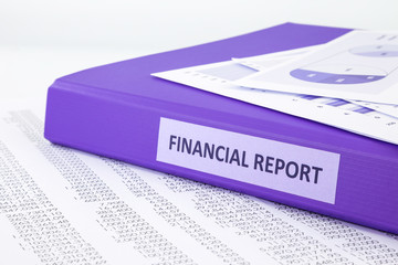 Financial accounting report with sale and purchase statement