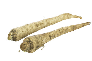 Two parsnips isolated