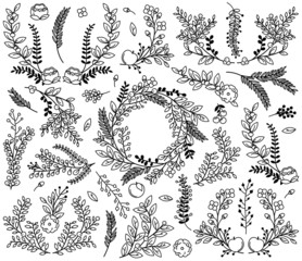Vector Collection of Vintage Style Hand Drawn Florals - Great fo