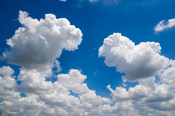 Plakat Blue sky with cloud