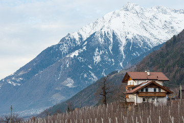 Fototapeta na wymiar Mountain house and mountain with snow, Dolomites