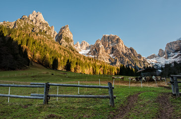 Fototapeta na wymiar Fence in the meadows in the mountains, Dolomites
