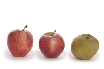 Drei beliebte Bio-Apfelsorten - Gala, Arlet und Boskoop