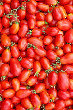 Background of the plurality of oval red tomatoes