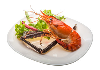 Giant Freshwater Prawn