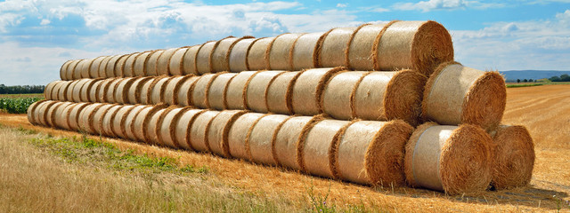 strohballen auf einem feld