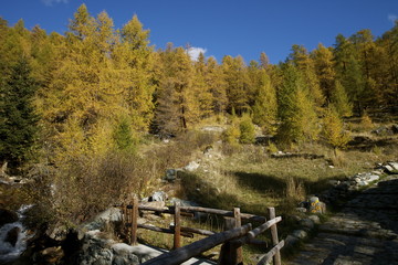 Autunno in Val d'Ayas
