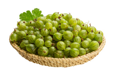 Gooseberry