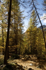 Autunno in Val d'Ayas