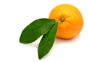 Sweet orange fruit with leaf