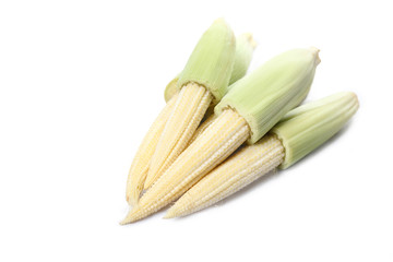 baby corn isolated on white background