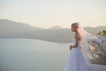 Fototapeta na wymiar Beautiful bride