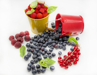 Frutos silvestres